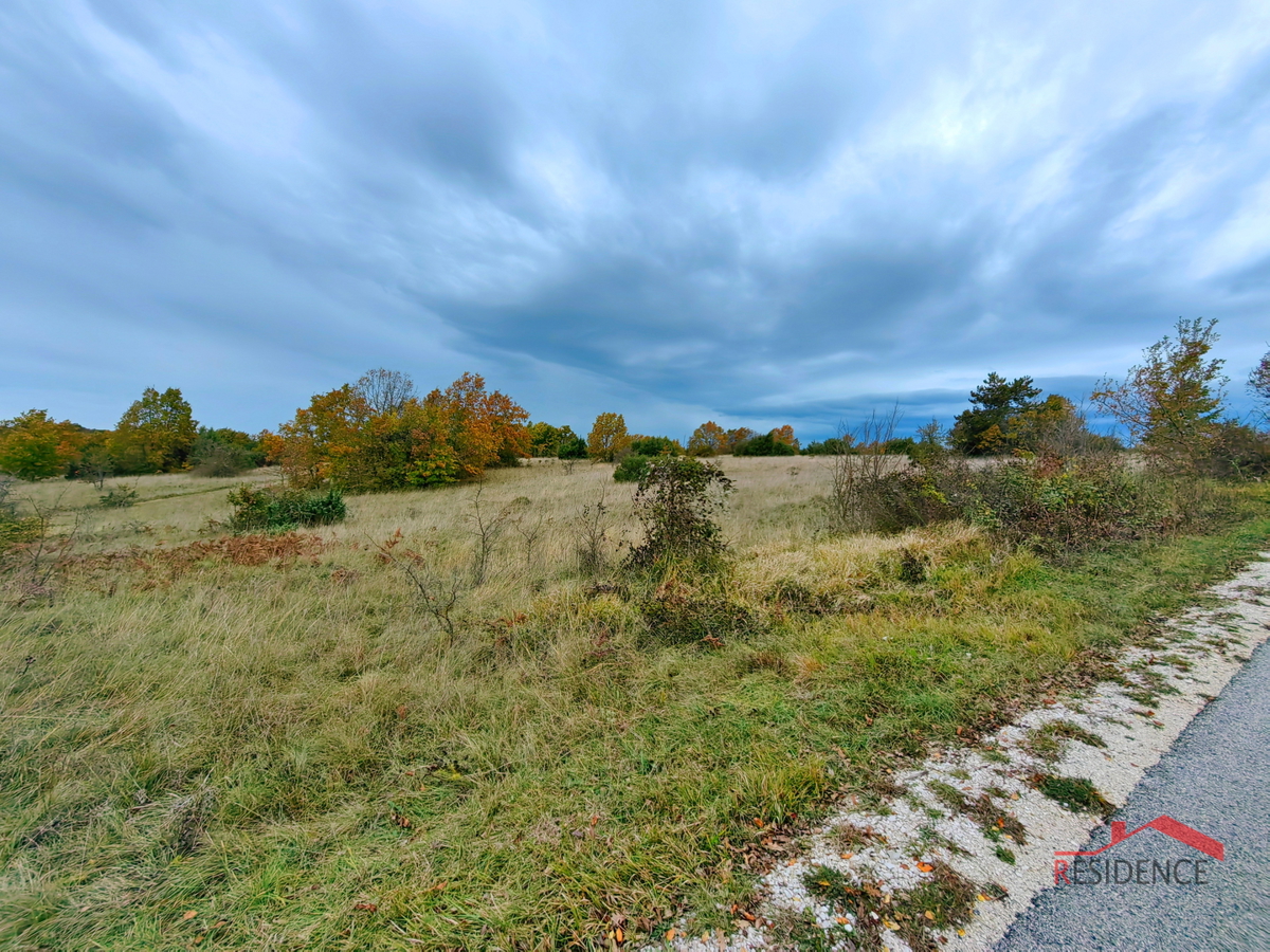 ŽMINJ- ŽAGRIĆI, TERRENO AGRICOLO