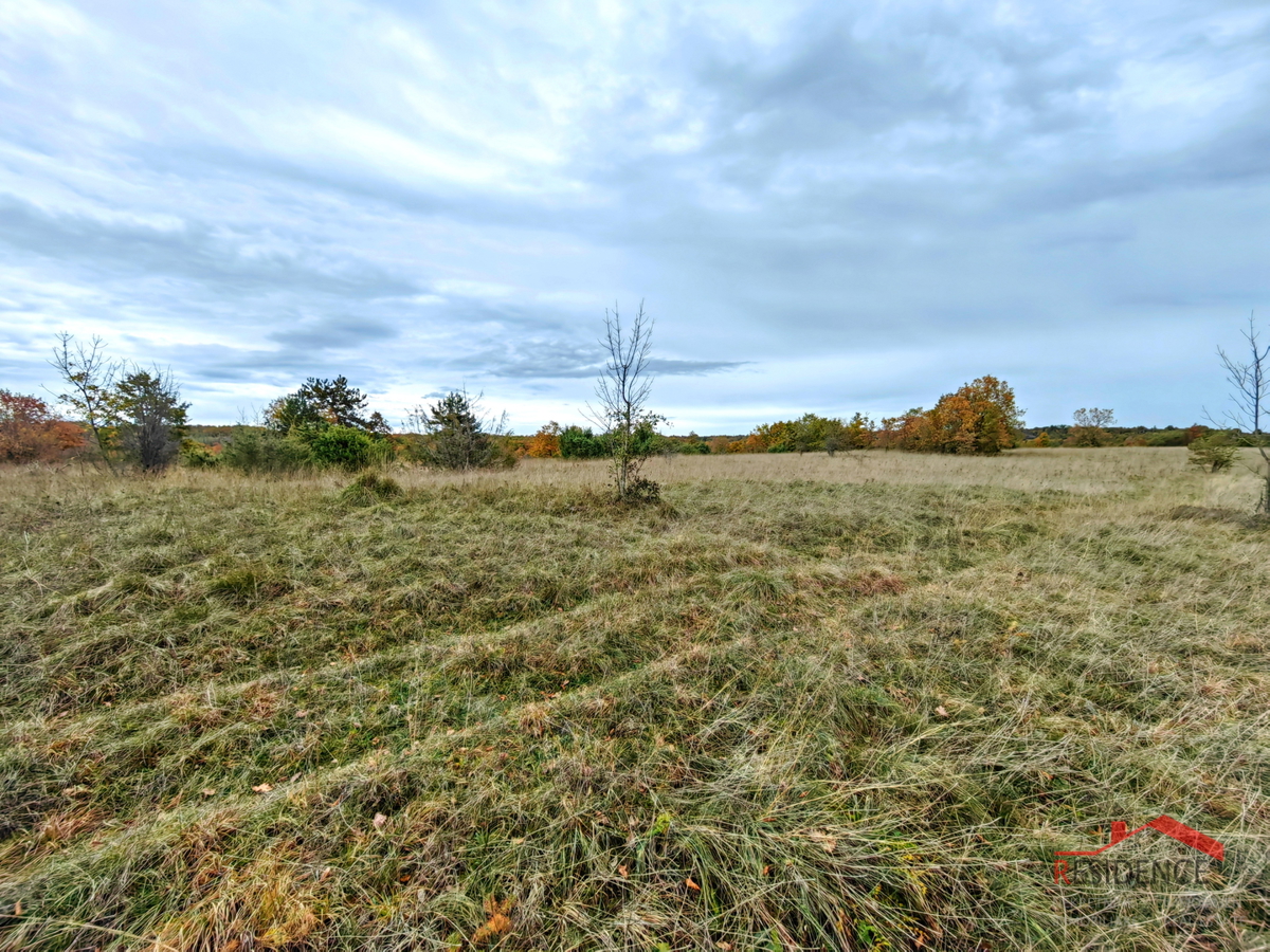 ŽMINJ- ŽAGRIĆI, TERRENO AGRICOLO