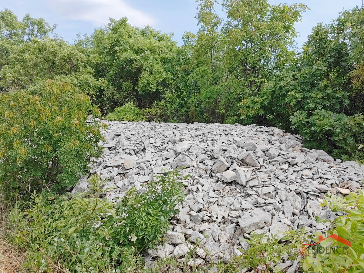 Dignano, terreno agricolo con ulivi