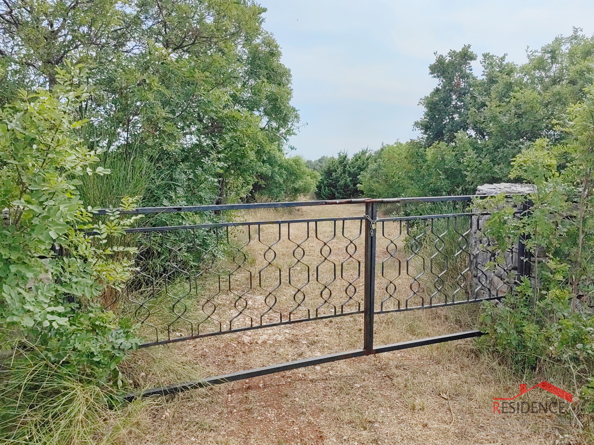 Dignano, terreno agricolo con ulivi