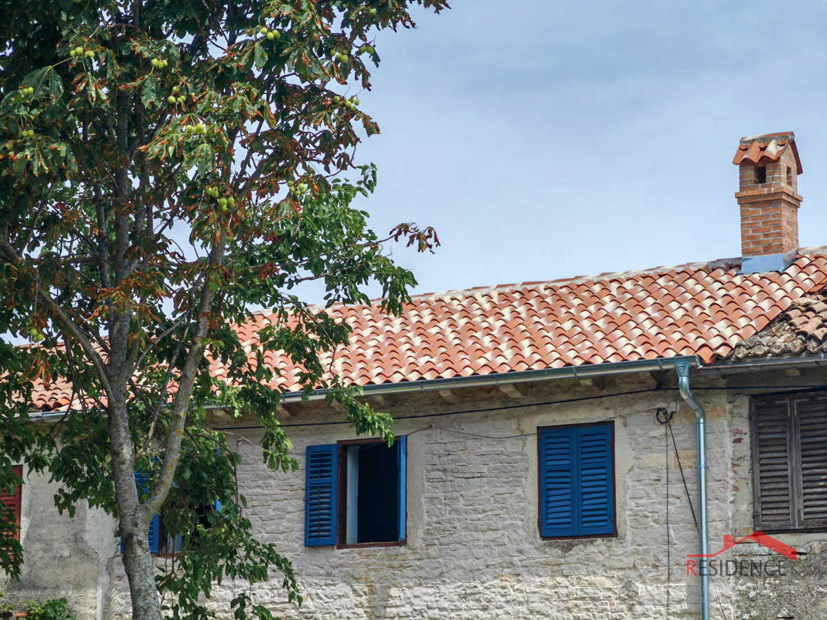 Žminj, casa in pietra istriana, dependance, giardino