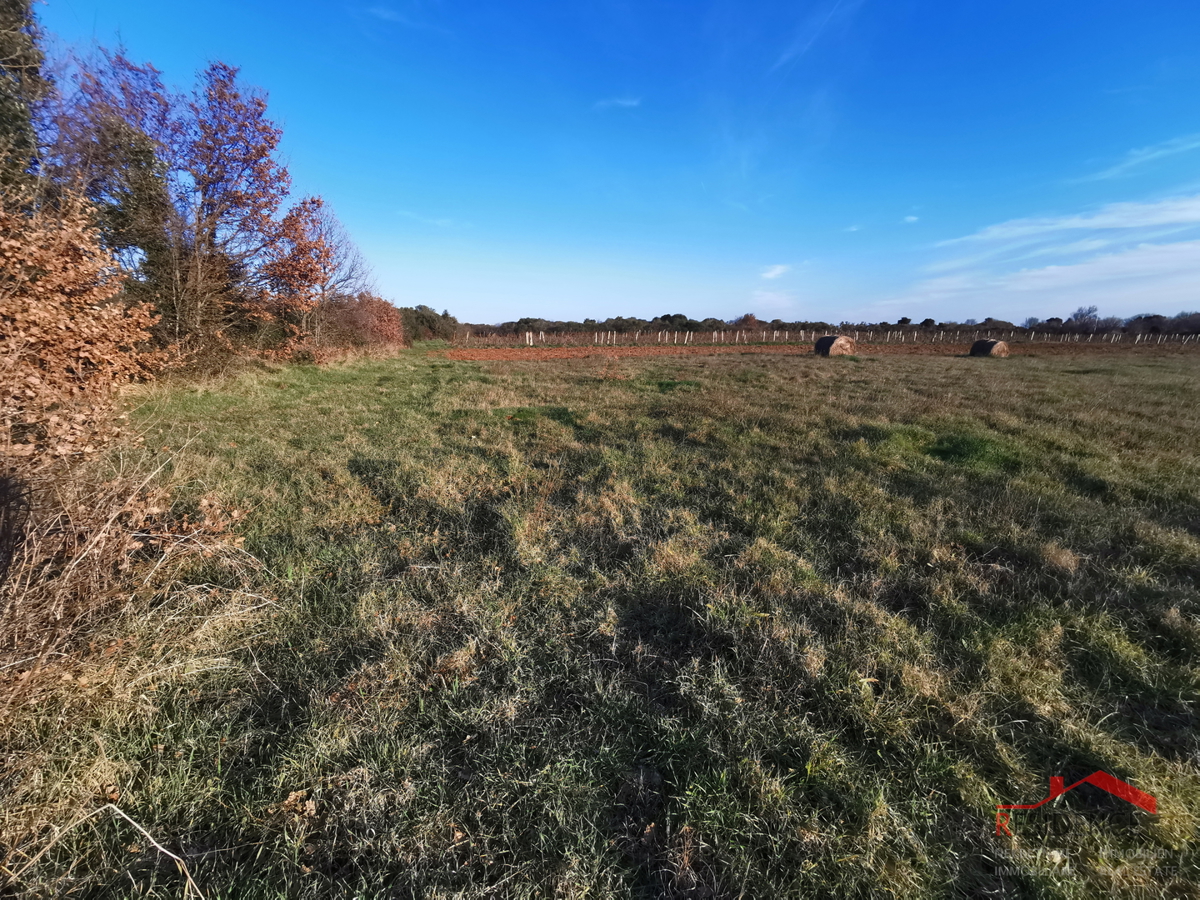 ŠIŠAN, TERRENO EDIFICABILE ZONA INDUSTRIALE