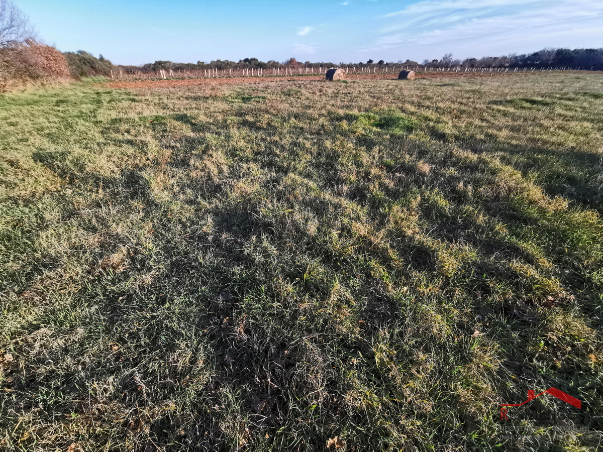 ŠIŠAN, TERRENO EDIFICABILE ZONA INDUSTRIALE