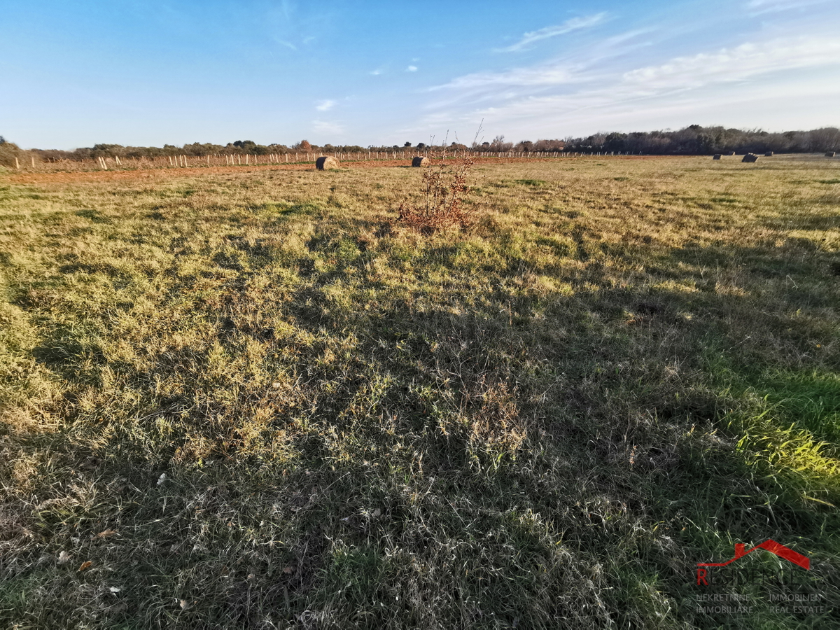 ŠIŠAN, TERRENO EDIFICABILE ZONA INDUSTRIALE