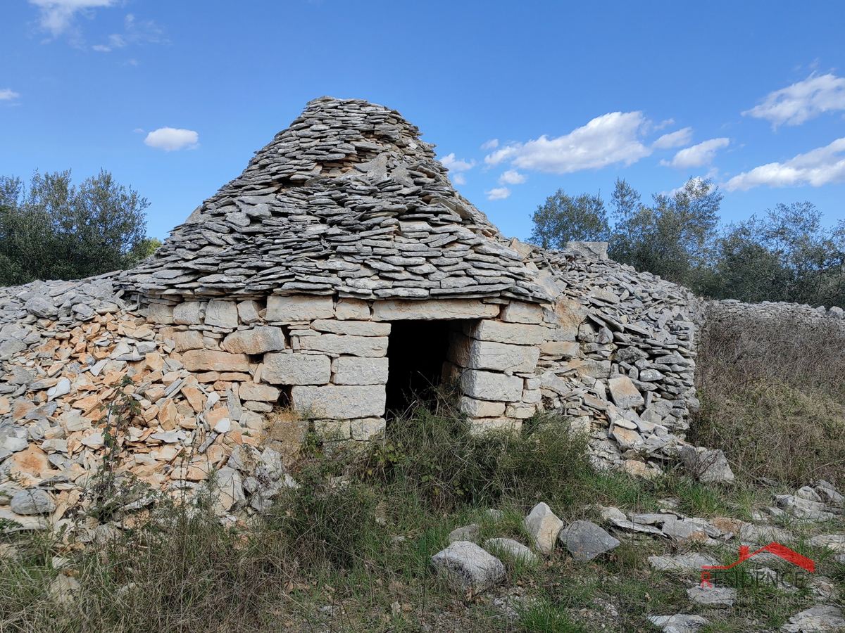 Vodnjan-Majmajola, maslinik s ruševinom i kažunom