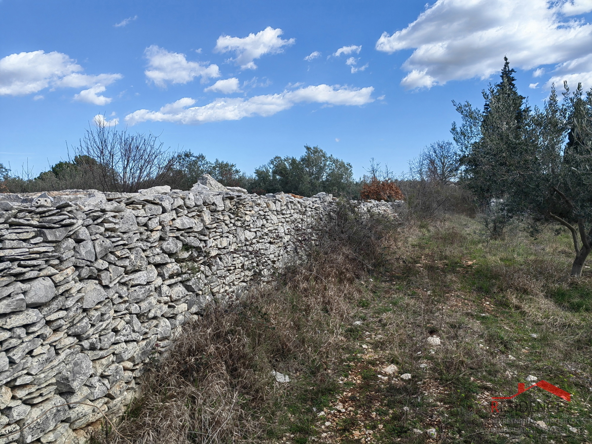 Vodnjan-Majmajola, maslinik s ruševinom i kažunom