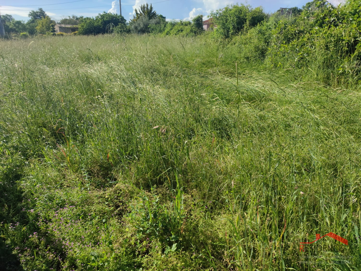 ŠEGOTIĆI, TERRENO EDIFICABILE