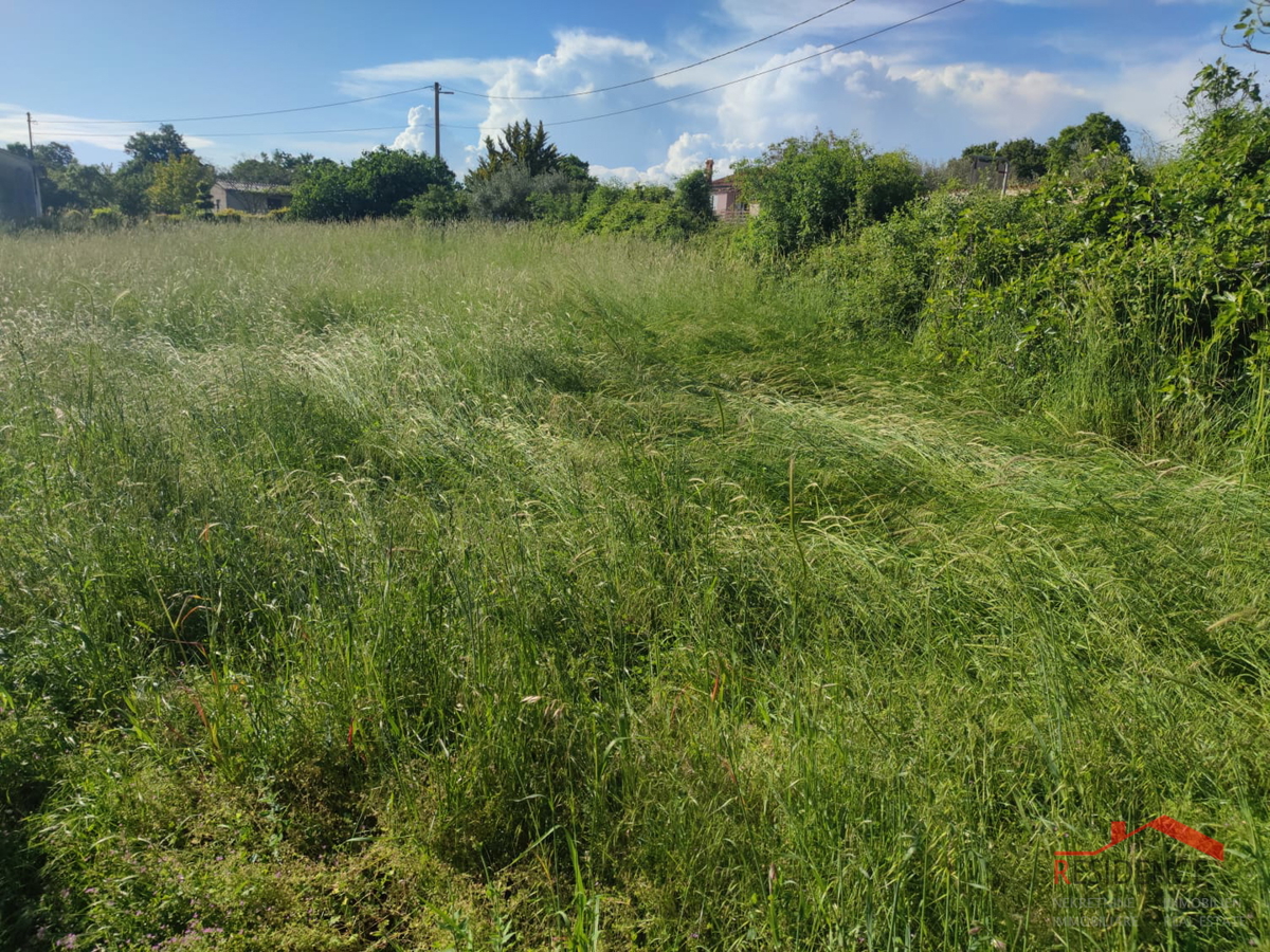 ŠEGOTIĆI, TERRENO EDIFICABILE