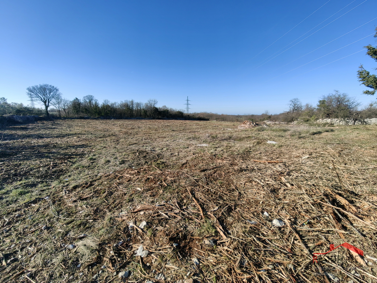 Terreno agricolo nelle vicinanze di Dignano