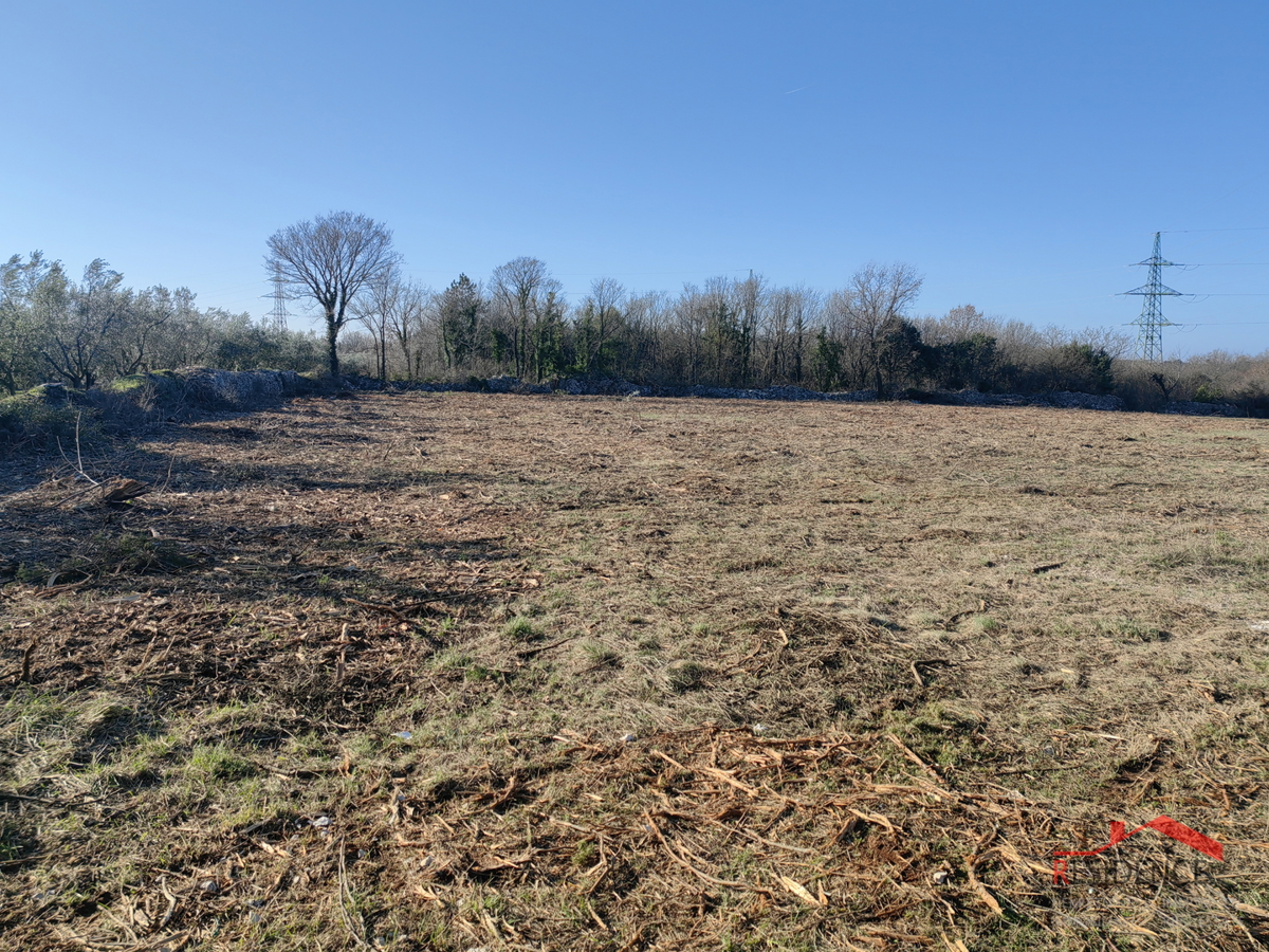 Terreno agricolo nelle vicinanze di Dignano