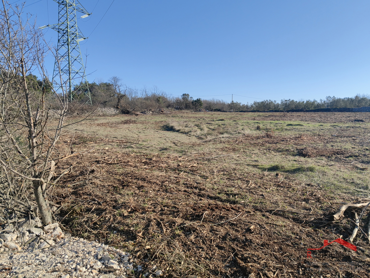 Terreno agricolo nelle vicinanze di Dignano