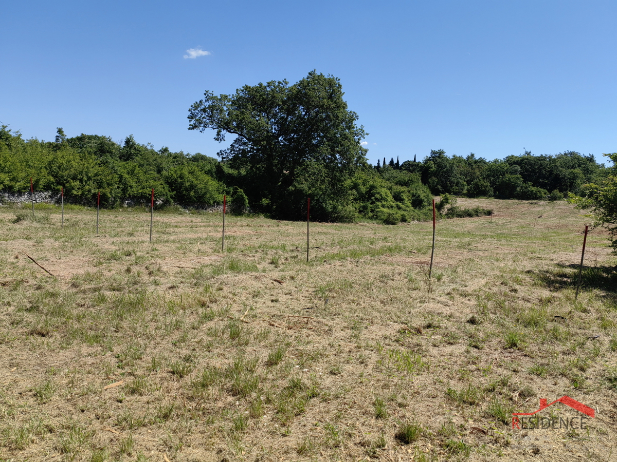 Pinezići, terreno agricolo con acqua