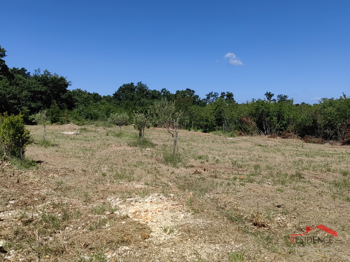 Pinezići, terreno agricolo con acqua