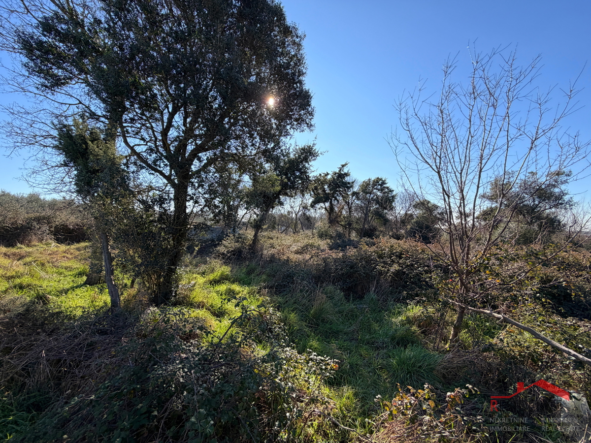 Pula, Monte Turco, terreno con edificio