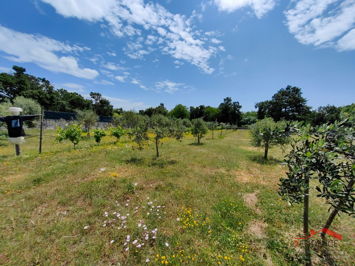 Villa con grande tenuta adatta al turismo della salute e del benessere - zona di Svetvinčenat