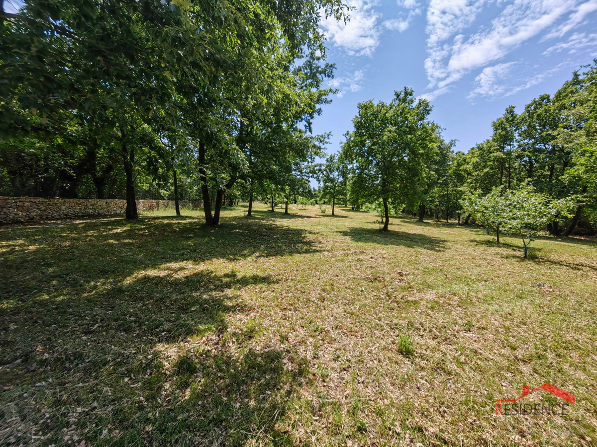 Villa con grande tenuta adatta al turismo della salute e del benessere - zona di Svetvinčenat