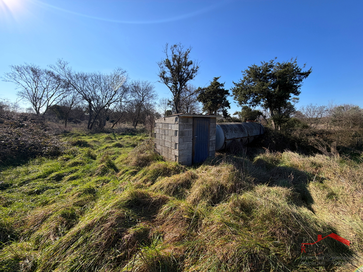 Pula, Monte Turco, terreno, elletrico, pozzo d'acqua