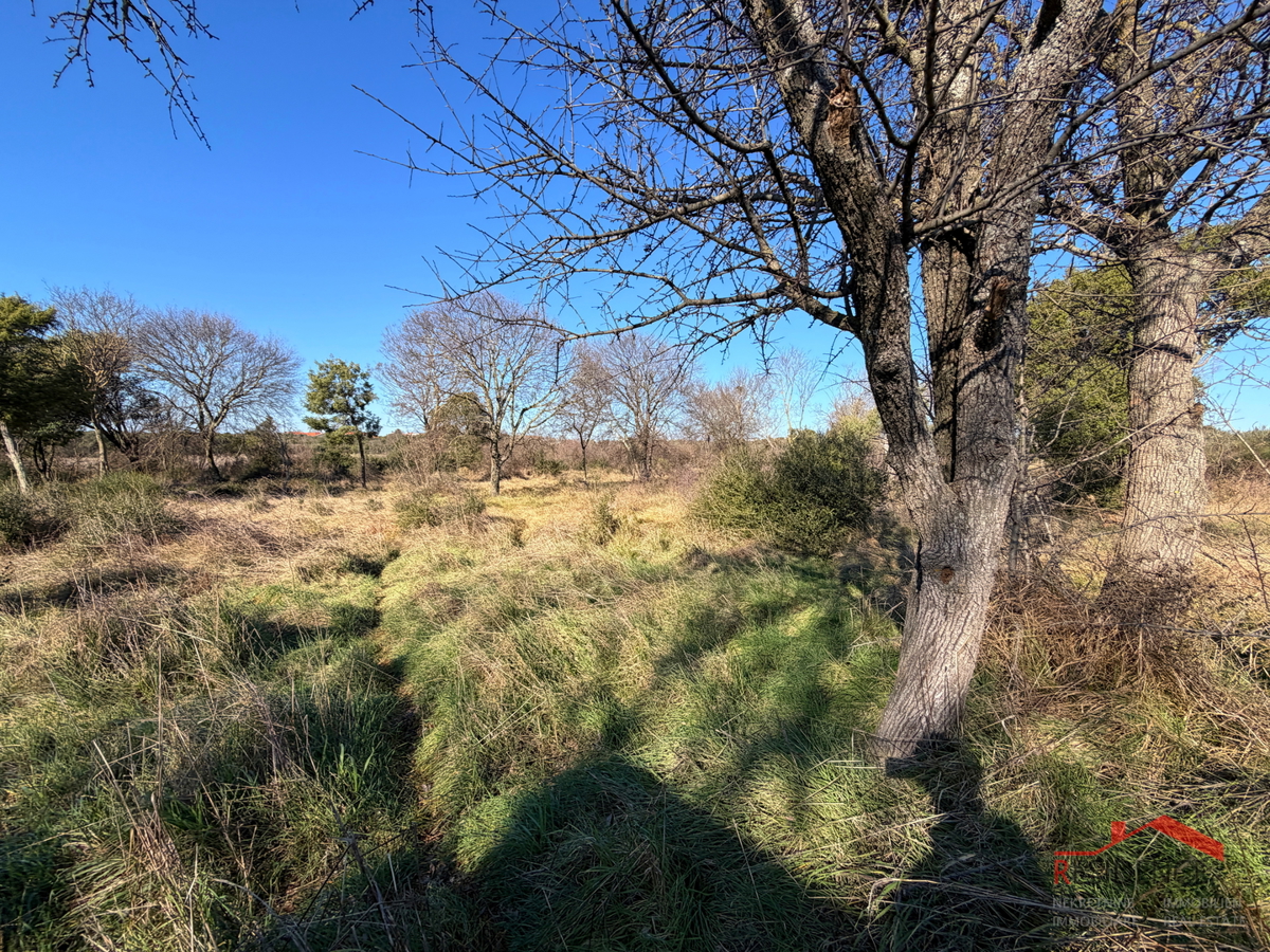 Pula, Monte Turco, terreno, elletrico, pozzo d'acqua