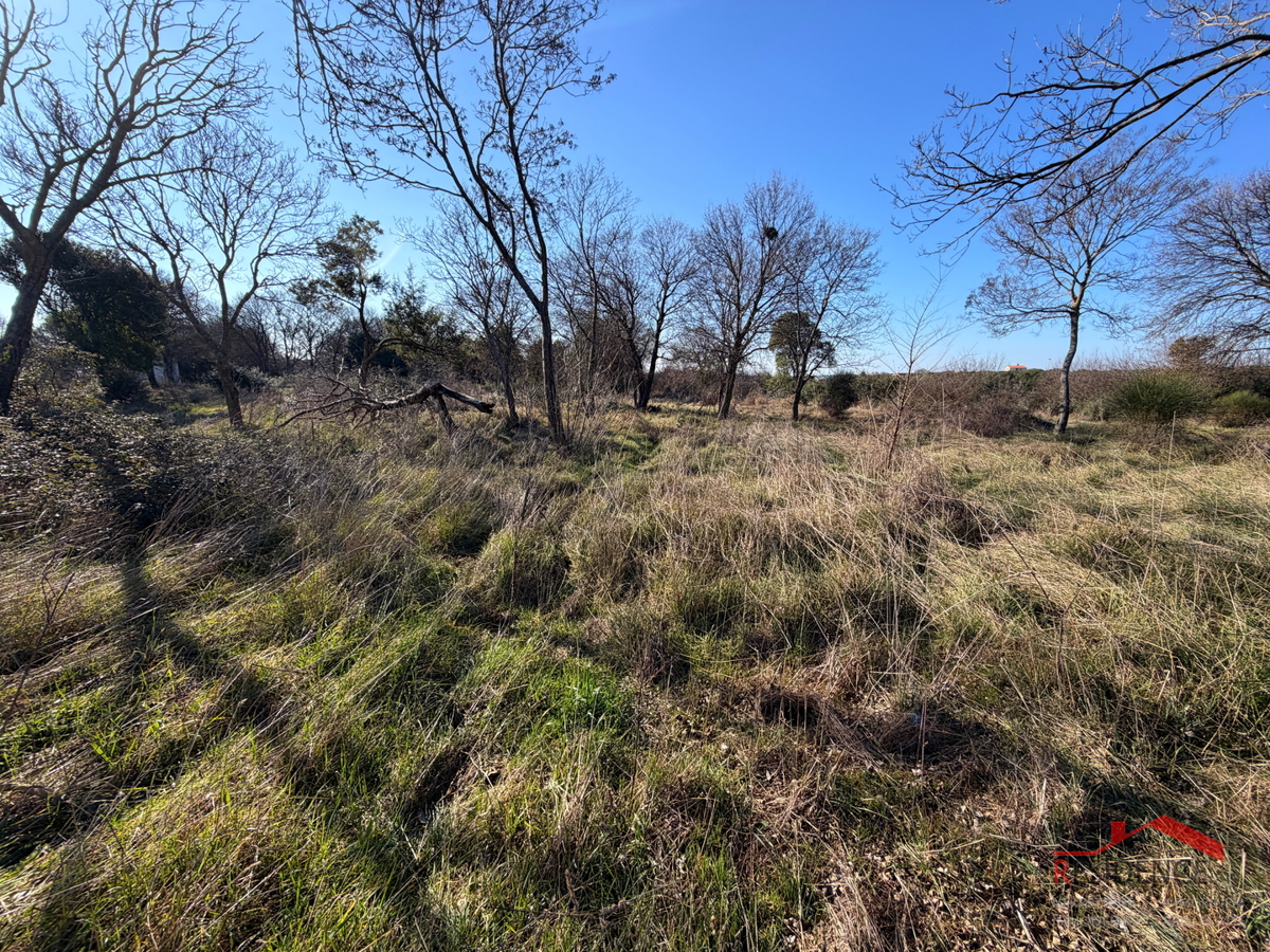 Pula, Monte Turco, terreno, elletrico, pozzo d'acqua