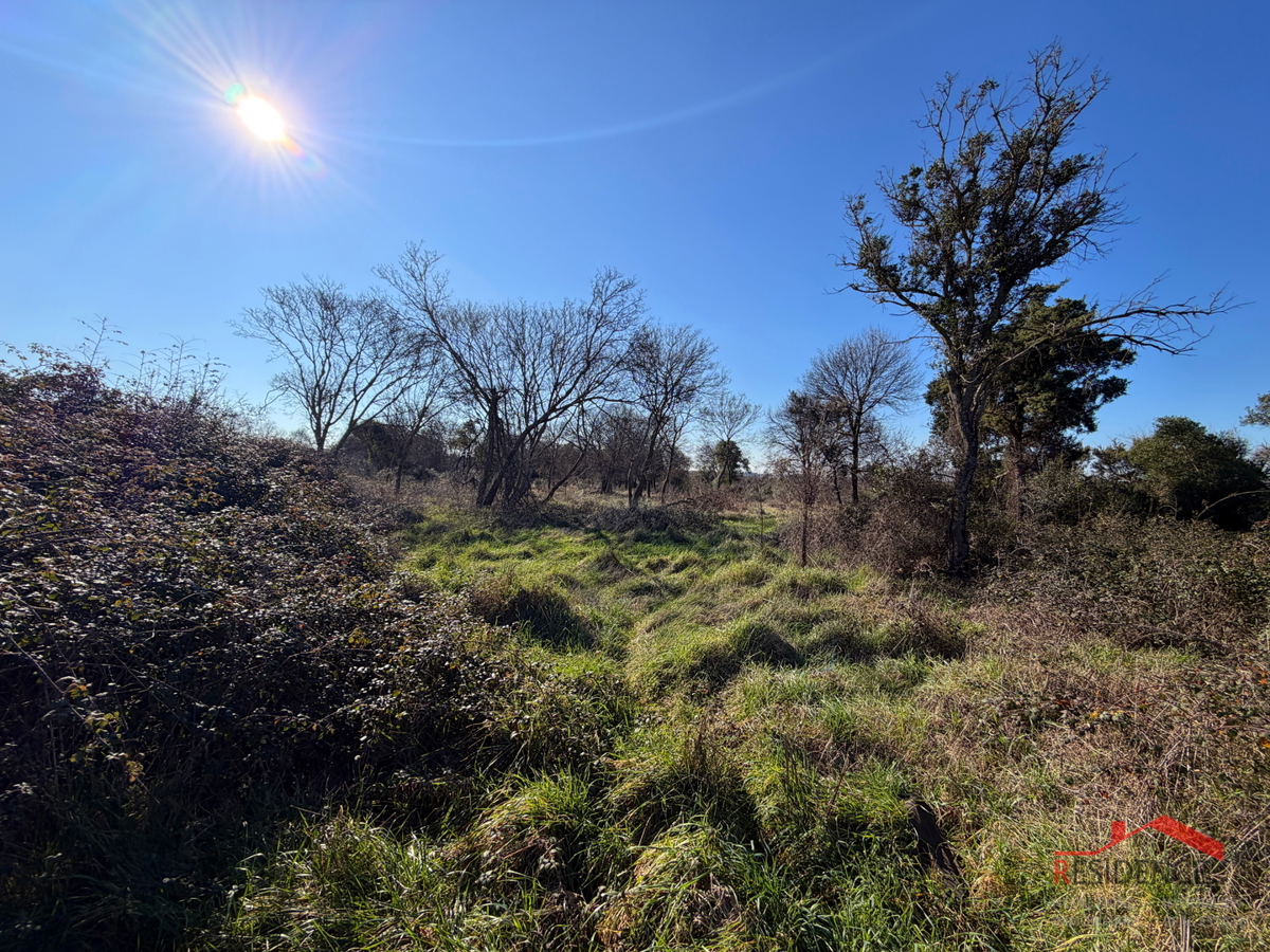 Pula, Monte Turco, terreno, elletrico, pozzo d'acqua