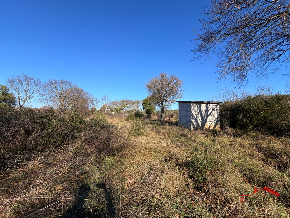 Pula, Monte Turco, terreno, elletrico, pozzo d'acqua