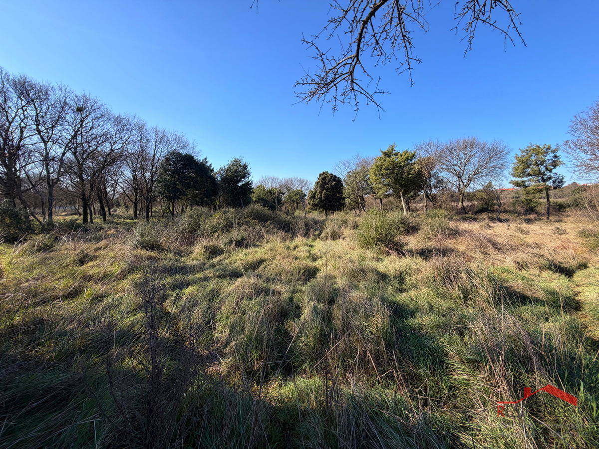 Pula, Monte Turco, terreno, elletrico, pozzo d'acqua