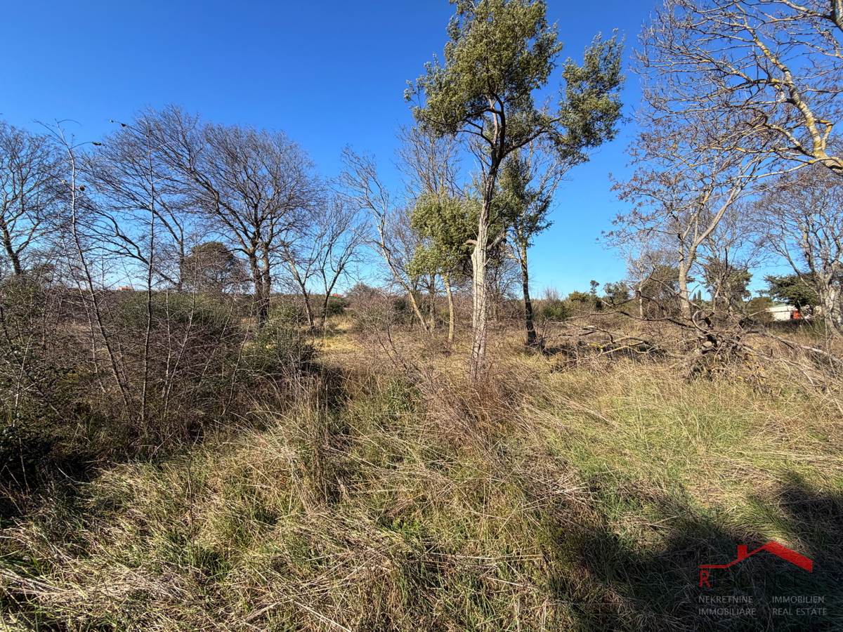 Pula, Monte Turco, terreno, elletrico, pozzo d'acqua