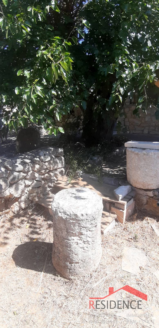 CASA A BANJOLE CON GIARDINO, A 200 METRI DAL MARE