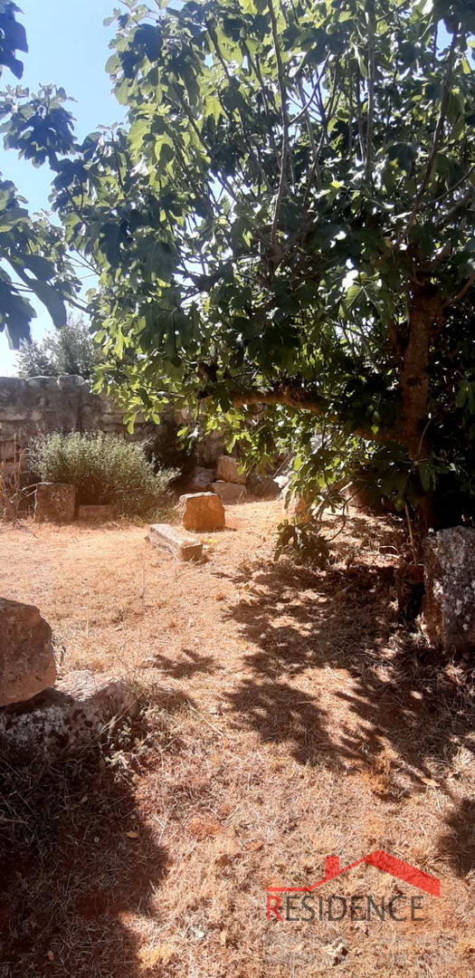 CASA A BANJOLE CON GIARDINO, A 200 METRI DAL MARE