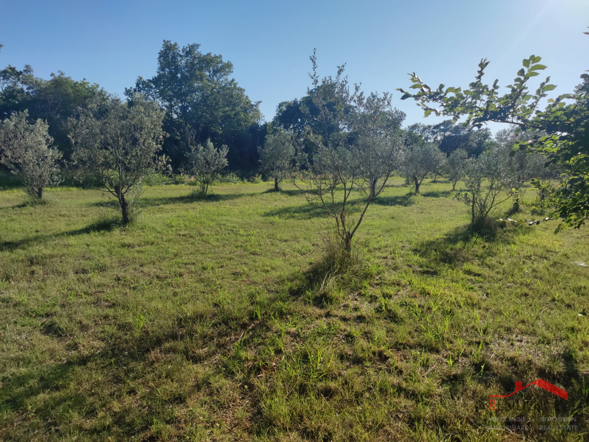 Peroj, terreno agricolo, acqua