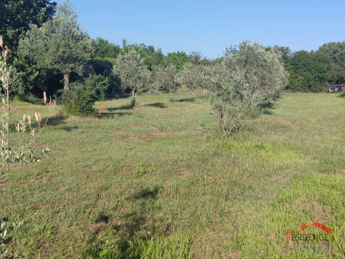 Peroj, terreno agricolo, acqua