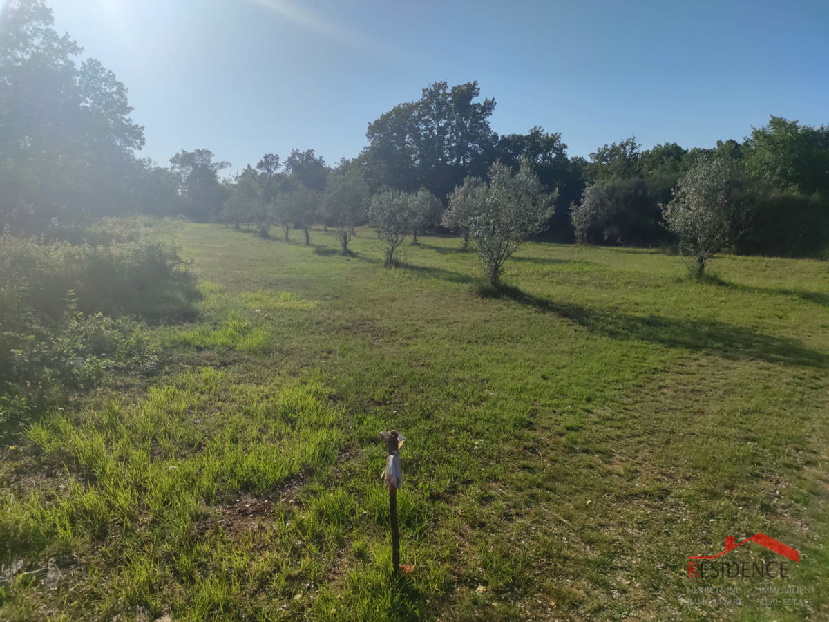 Peroj, terreno agricolo, acqua