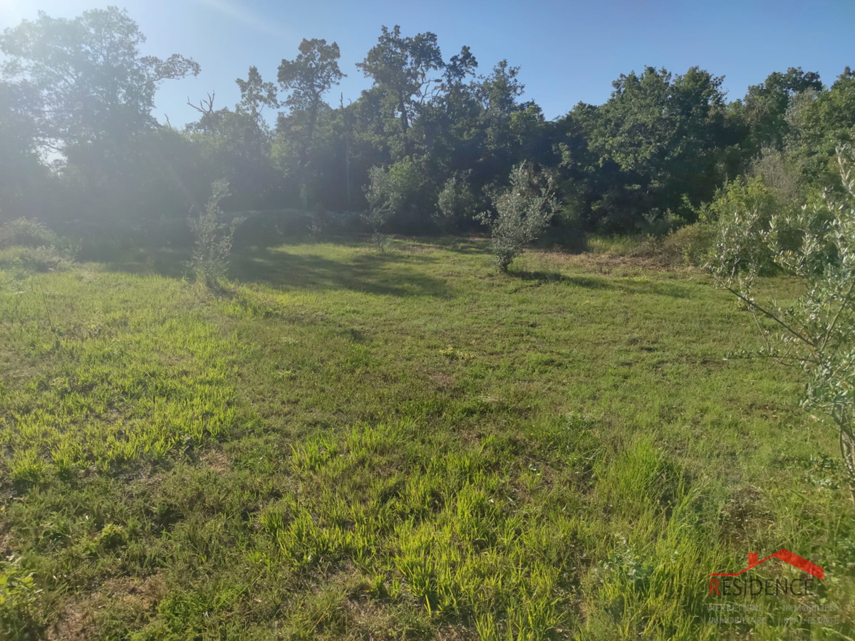 Peroj, terreno agricolo, acqua