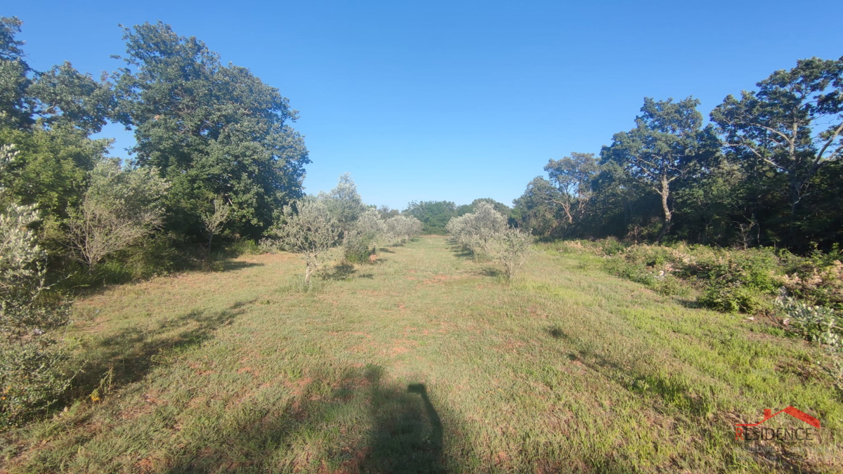 Peroj, terreno agricolo, acqua