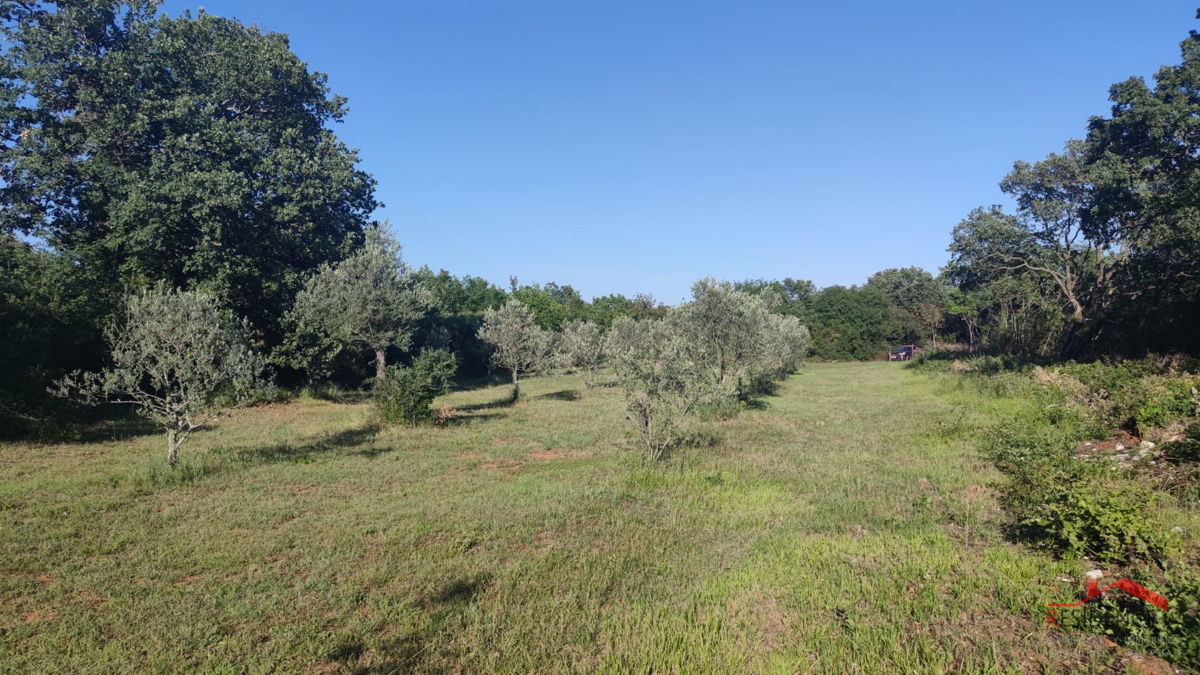 Peroj, terreno agricolo, acqua