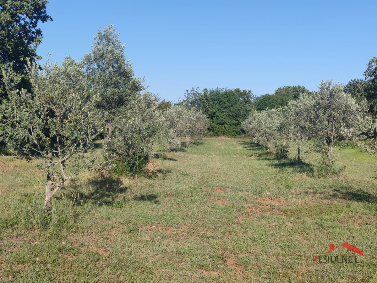 Peroj, terreno agricolo, acqua