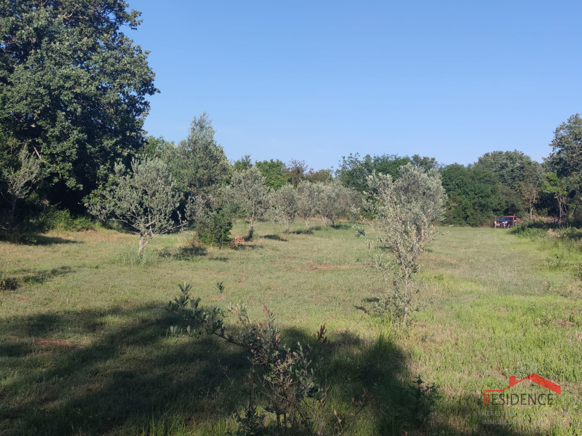 Peroj, terreno agricolo, acqua