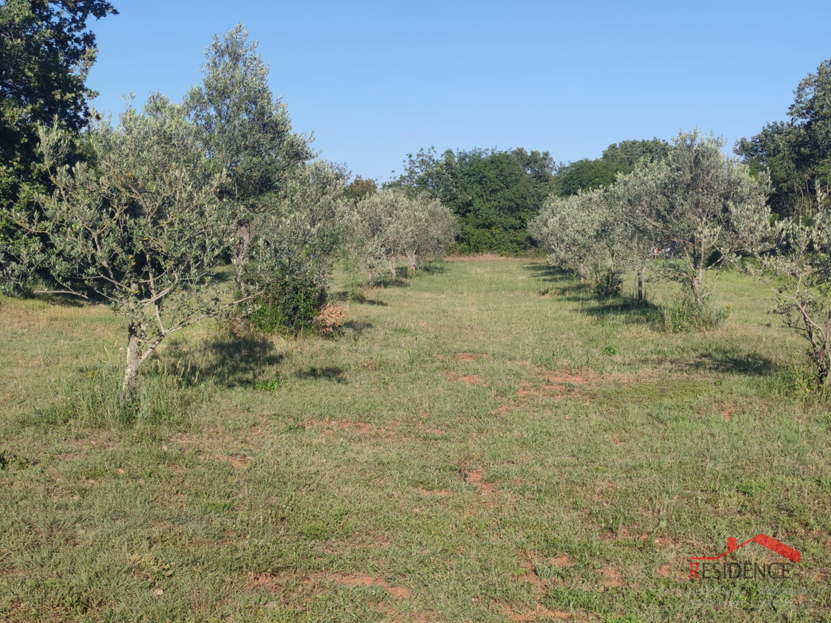 Peroj, terreno agricolo, acqua