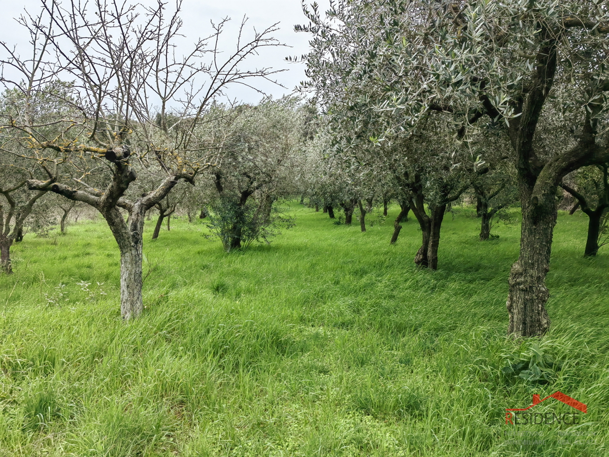 Casa a Veli Vrh con ampio giardino e terreno edificabile