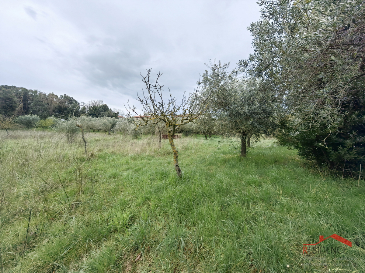 Casa a Veli Vrh con ampio giardino e terreno edificabile