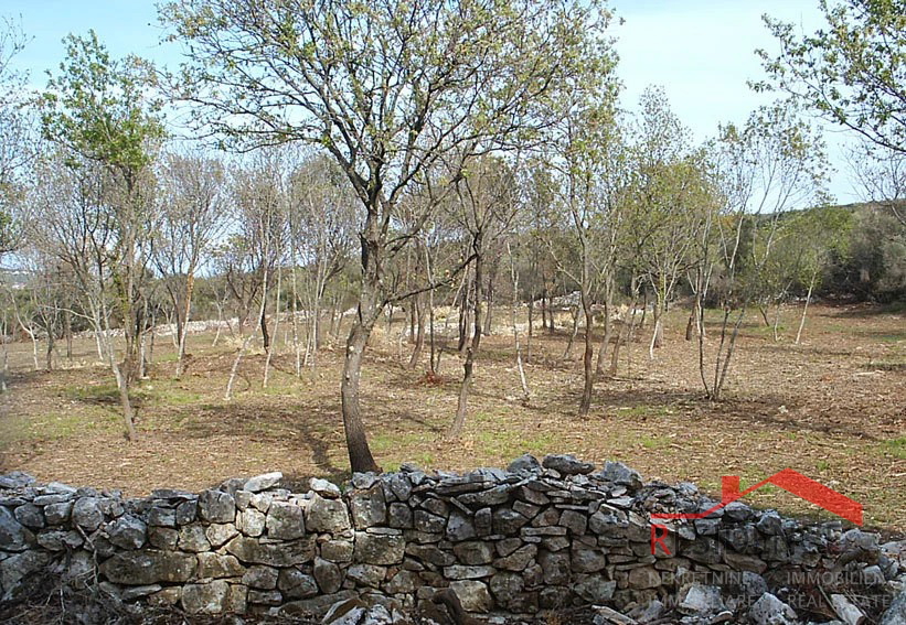 PREMANTURA - MONTE KOPE, TERRENO EDIFICABILE IN ZONA TP