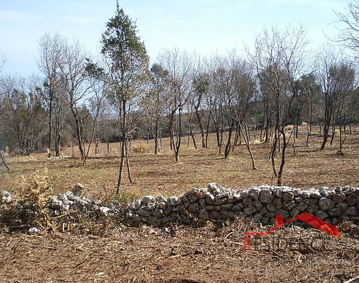 PREMANTURA - MONTE KOPE, TERRENO EDIFICABILE IN ZONA TP