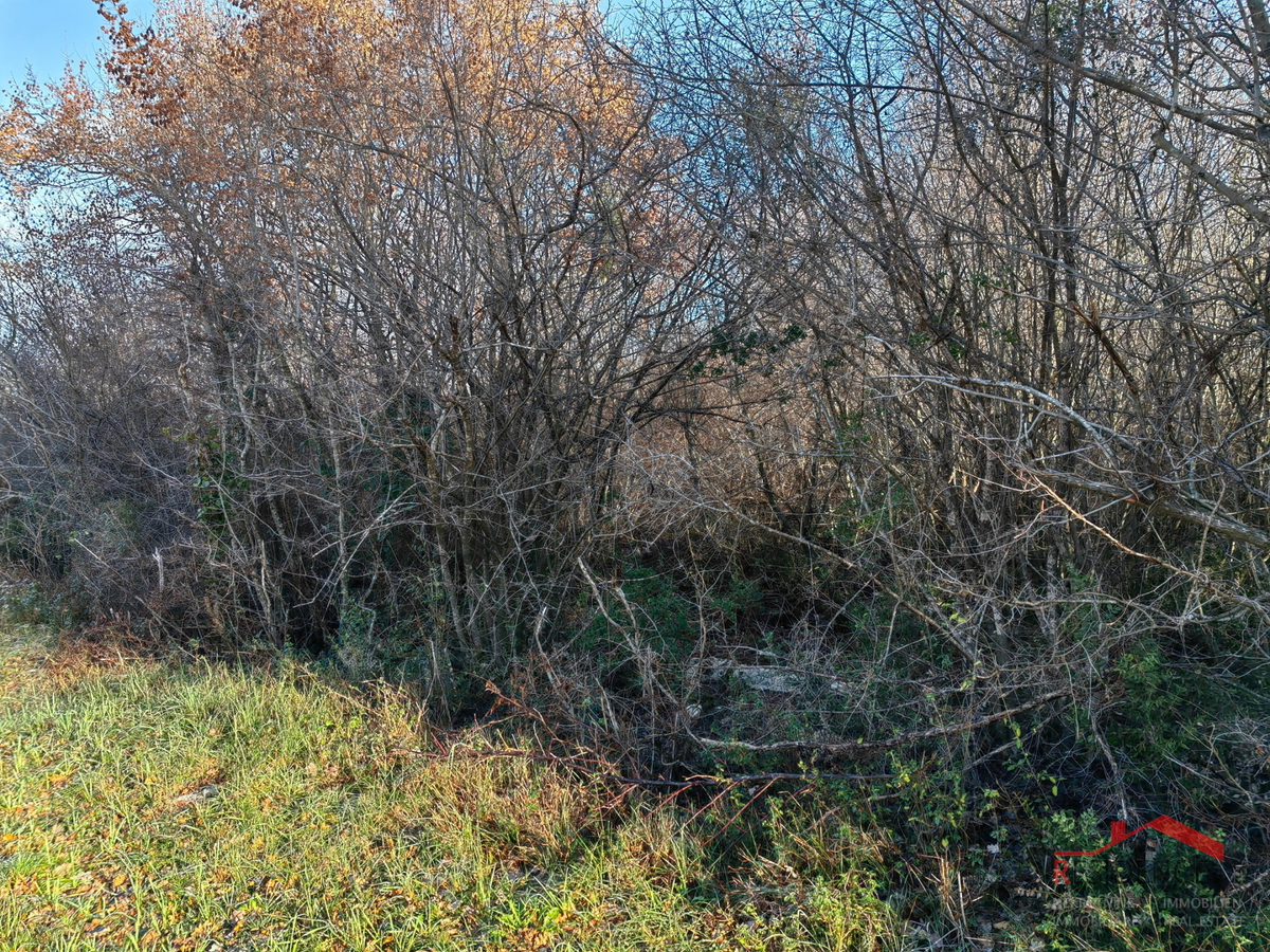 Gradina, terreno agricolo