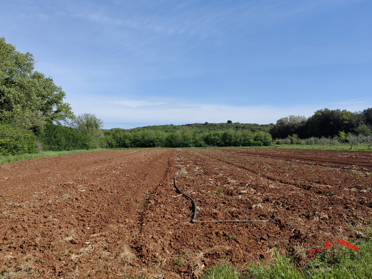 Vinkuran, terreno agricolo