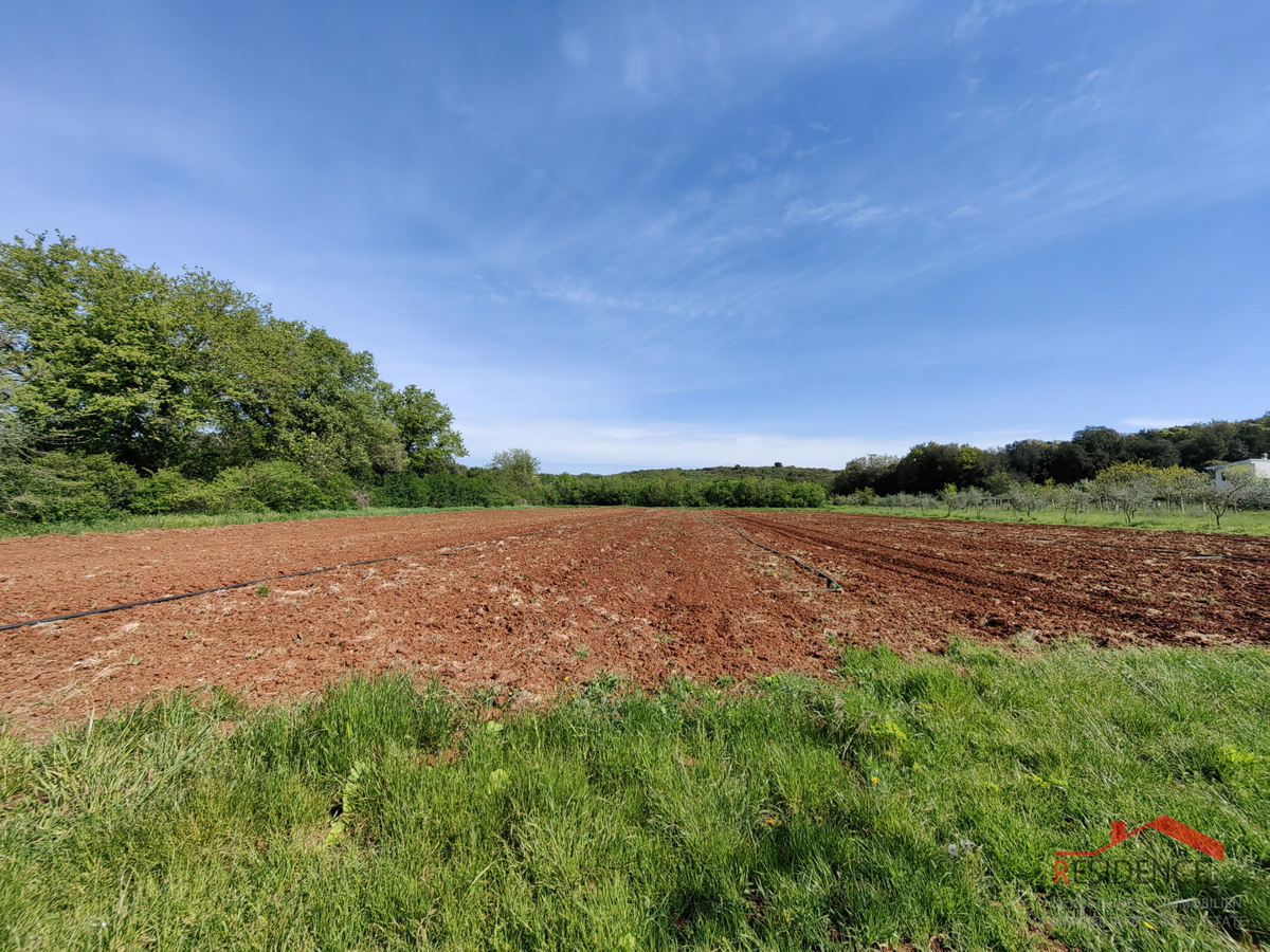 Vinkuran, terreno agricolo