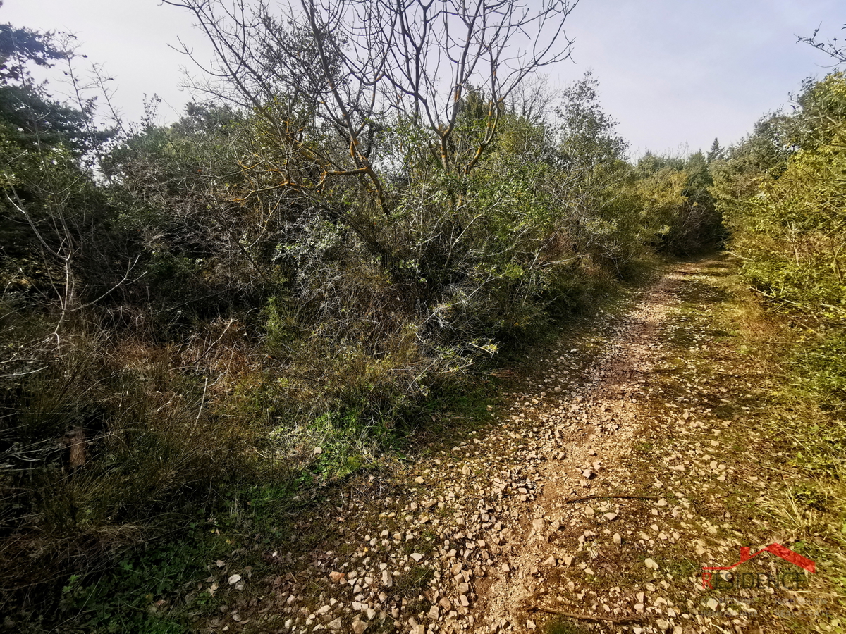 Fažana - Dignano, terreno agricolo