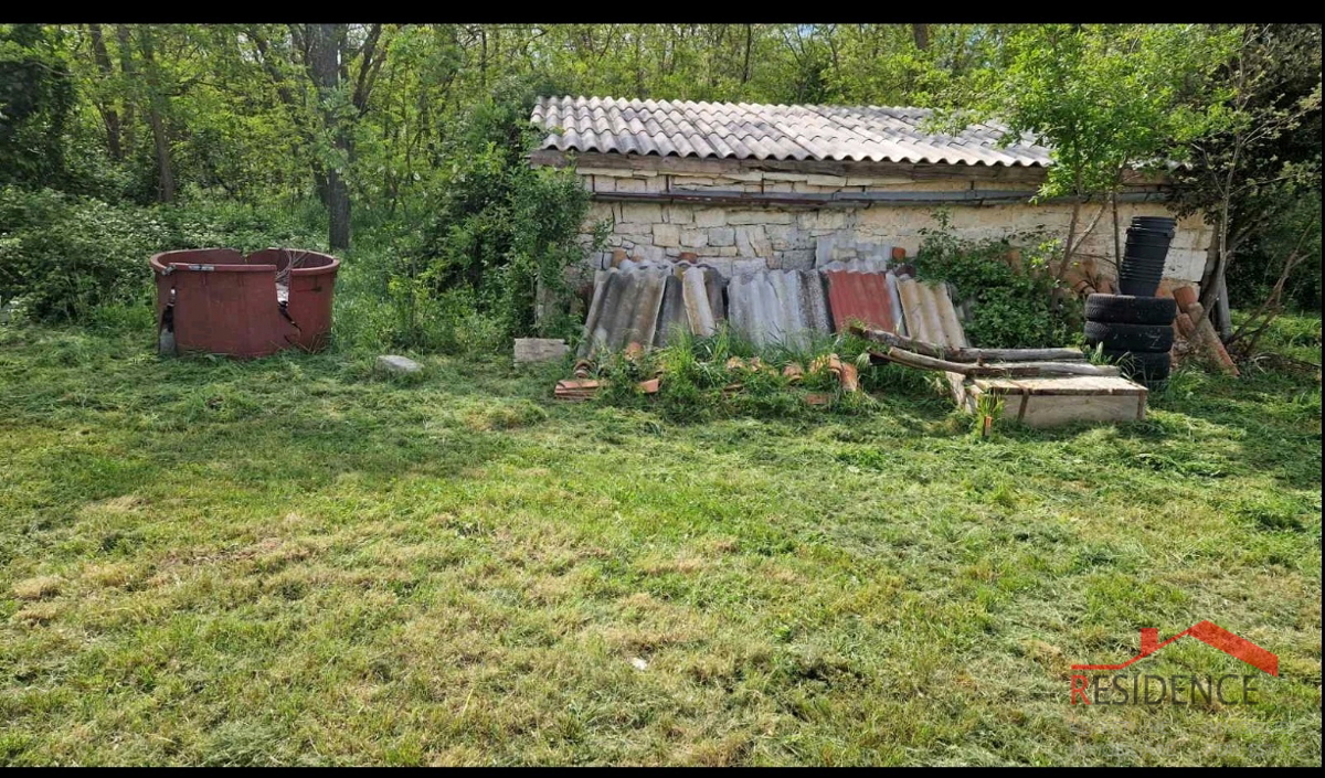 Banjole, landwirtschaftliches Land mit Olivenhain und Wasser