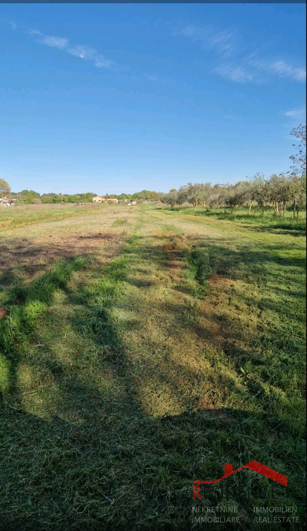 Banjole, landwirtschaftliches Land mit Olivenhain und Wasser