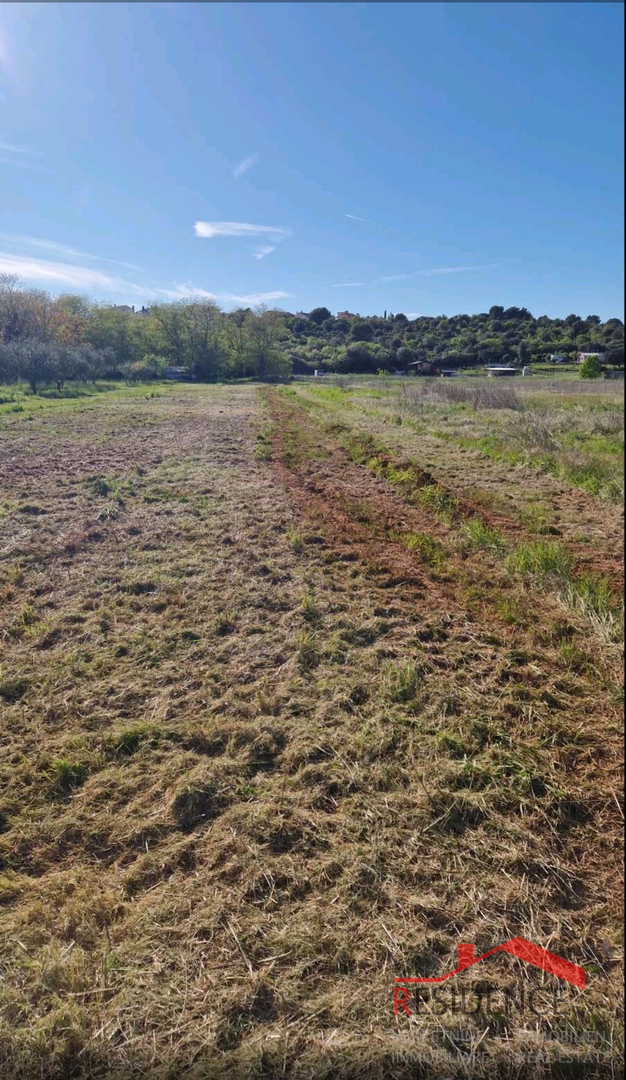 Banjole, landwirtschaftliches Land mit Olivenhain und Wasser