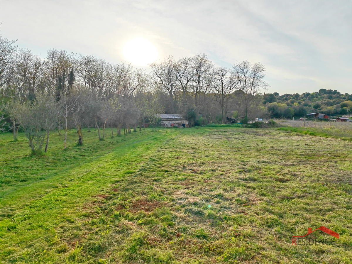 Banjole, landwirtschaftliches Land mit Olivenhain und Wasser